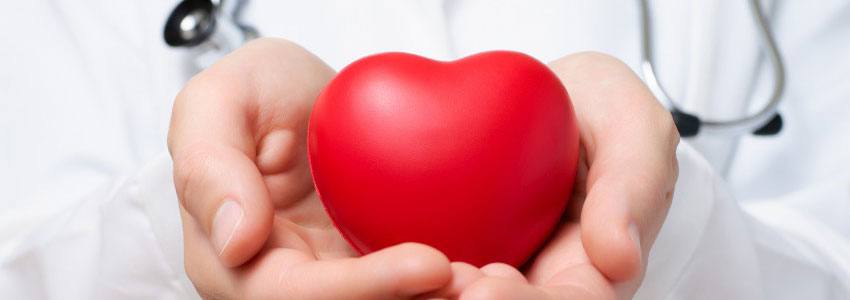 A doctor holding a heart in the palm of their hands