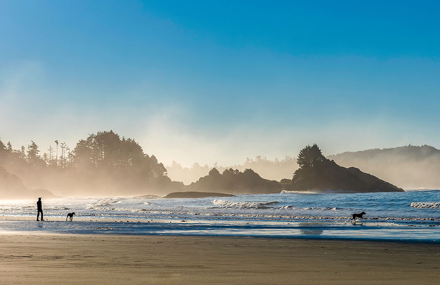 A silhouette of a man and his dogs walking on the beach in Tofino