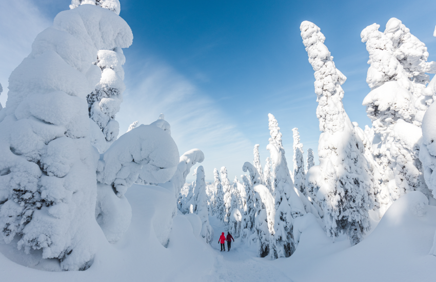 Monts-Valin National Park