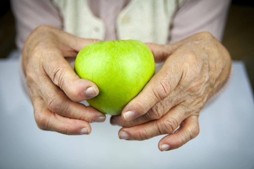 hands_holding_apple