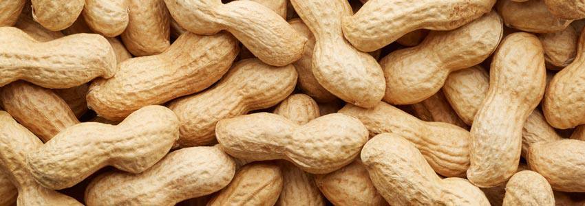 A mess of a lot of peanuts on top of each other