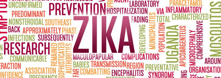 Zika word among keywords cloud