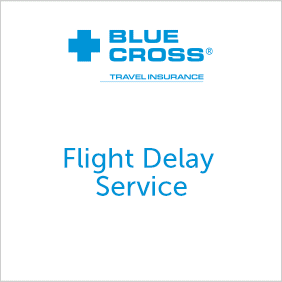 Banner Flight Delay Service